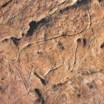 Presentación de un volumen de estudios sobre la cueva del Buxu