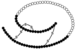 Molécula de insulina, compuesta de cadenas tipo A y B