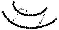 Molécula de insulina, compuesta de cadenas tipo A y B