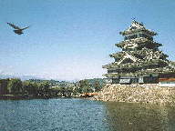 Castillo japones